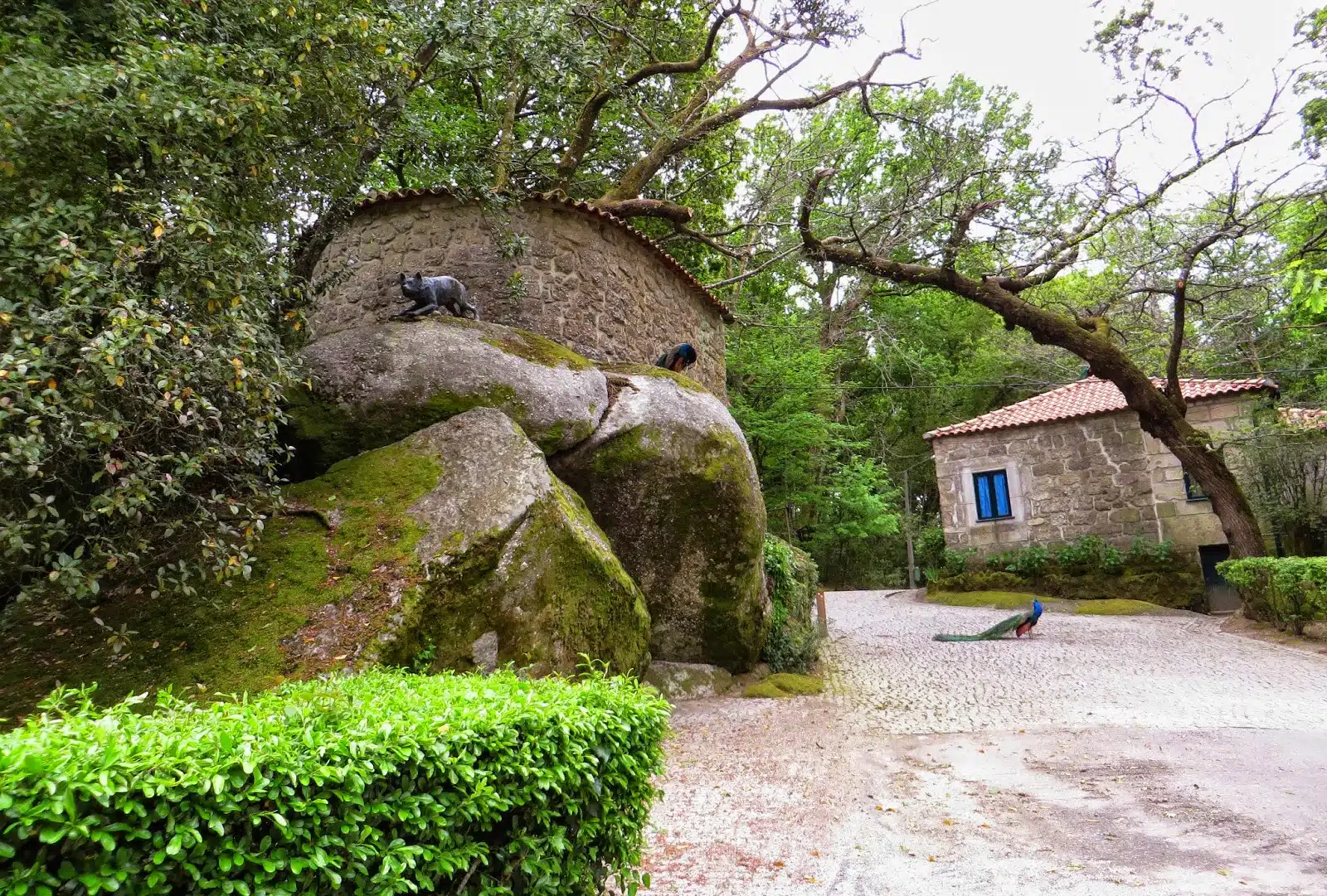 Visitar Viseu 8 Parque do Fontelo