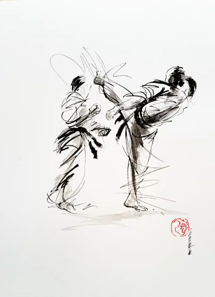 História 6 karate ryokan Viseu Ryokan